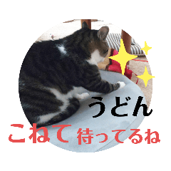 [LINEスタンプ] 夫婦間やお友達との間で使いやすいスタンプ
