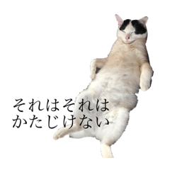 [LINEスタンプ] あっぱれ！たまさぶろう
