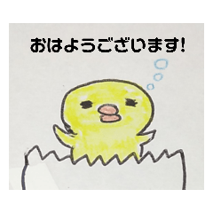 [LINEスタンプ] ヒヨコノ市ヒヨコノ区ヒヨコノ町