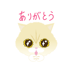 [LINEスタンプ] きなこ＆める 猫の日常