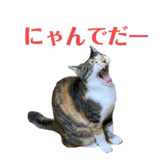 [LINEスタンプ] ★りんりん★スタンプ