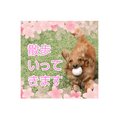 [LINEスタンプ] 3ダックスのスタンプ