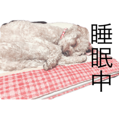 [LINEスタンプ] ルアレンとるきのスタンプ