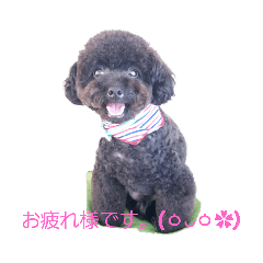 [LINEスタンプ] クロプーCOCO