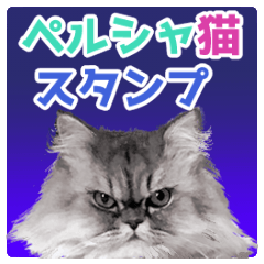 [LINEスタンプ] インパクト顔のペルシャ猫スタンプ
