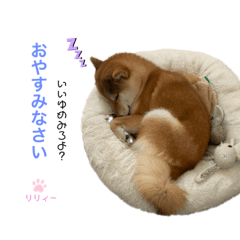 [LINEスタンプ] リリィーの日常①