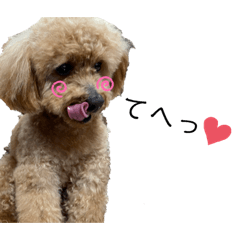 [LINEスタンプ] ねねちゃんでーす