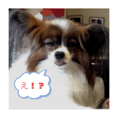 [LINEスタンプ] るなちゃんのstamp
