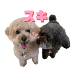 [LINEスタンプ] トイくんマハロくんスタンプ第二弾