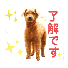 [LINEスタンプ] ココロ日和