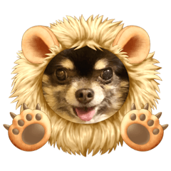 [LINEスタンプ] Chihuahua's song ソラとリズ⑥