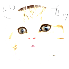 [LINEスタンプ] ちわーっす