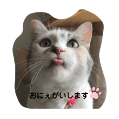 [LINEスタンプ] 永遠のおんにゃのこ☆みゆう