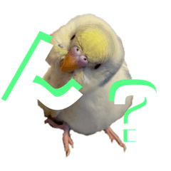 [LINEスタンプ] インコのリモン2
