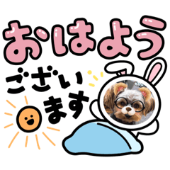 [LINEスタンプ] そらいろ⑤