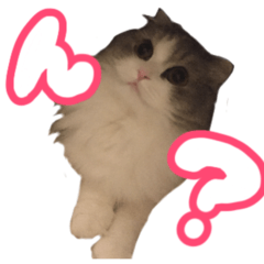 [LINEスタンプ] ちゃなぐらむスタンプ1