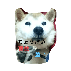 [LINEスタンプ] 薫子スタンプ