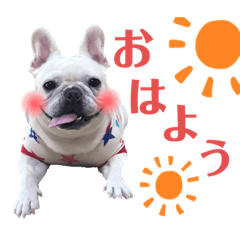 [LINEスタンプ] うちのゆず2