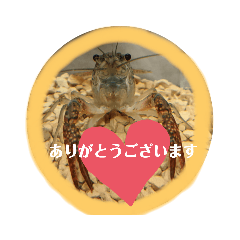 [LINEスタンプ] 敬語ざりがに
