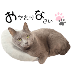 [LINEスタンプ] うちのるぅ