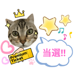 [LINEスタンプ] Ashura(アシュラ)♂5