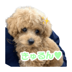 [LINEスタンプ] 龍くんのにちじょう