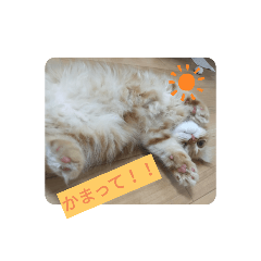 [LINEスタンプ] ぽんずびより