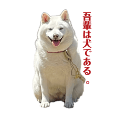 [LINEスタンプ] LOTTA 2