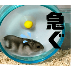 [LINEスタンプ] チロルの生活part2