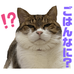 [LINEスタンプ] hana03marin15