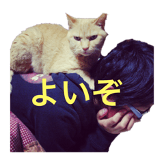 [LINEスタンプ] よいやーつ
