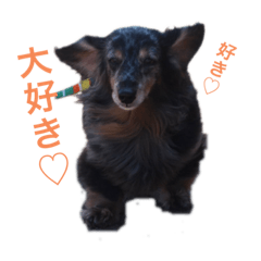 [LINEスタンプ] かわいいワンちゃんのスタンプ❤️