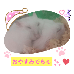 [LINEスタンプ] カラフルはむはむyuki作