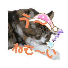 [LINEスタンプ] 【FIP闘病】ノエルくんの日常
