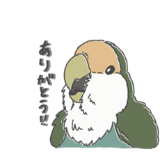 [LINEスタンプ] 鳥オタクの為のスタンプ