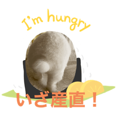 [LINEスタンプ] ましろおもち産直スタンプ