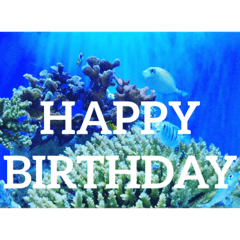 [LINEスタンプ] OKINAWAの景色と花・誕生日