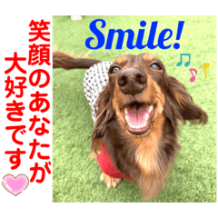 [LINEスタンプ] 赤いりぼんの可愛い仲間達④