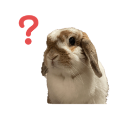 [LINEスタンプ] 3ぴょんず2