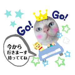 [LINEスタンプ] 小鉄＊小梅＊