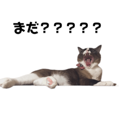 [LINEスタンプ] うみとそら。癒しのスタンプ③