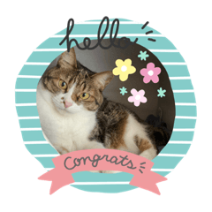 [LINEスタンプ] モカのスタンプ♡♡