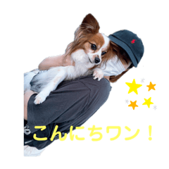 [LINEスタンプ] 5572！