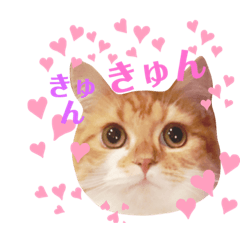 [LINEスタンプ] ももちゃんの日常1