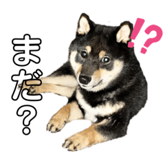 [LINEスタンプ] azuki298