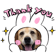 [LINEスタンプ] Hamu☆Stamp