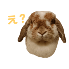 [LINEスタンプ] 3ぴょんず