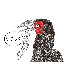 [LINEスタンプ] ミナミジサイチョウ