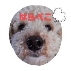[LINEスタンプ] むくさん1。