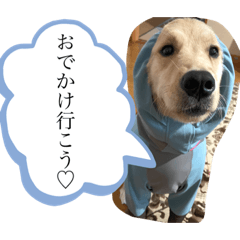 [LINEスタンプ] むぎぽよ。